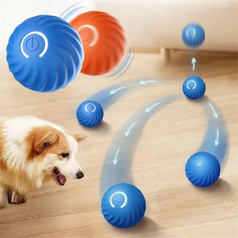 Smart Hund Spielball