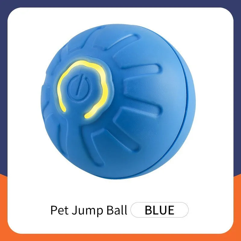 Smart Hund Spielball