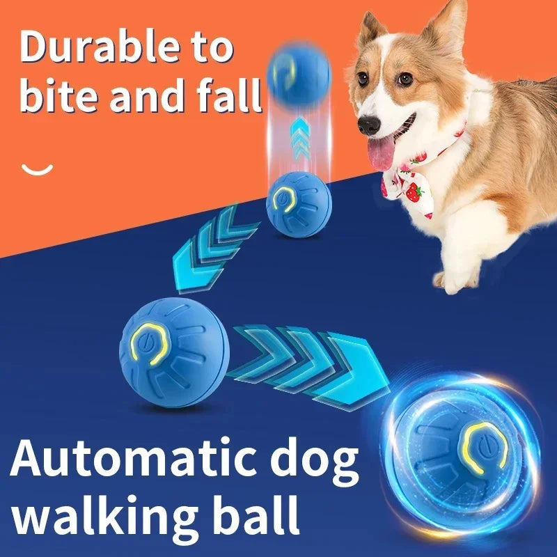 Smart Hund Spielball