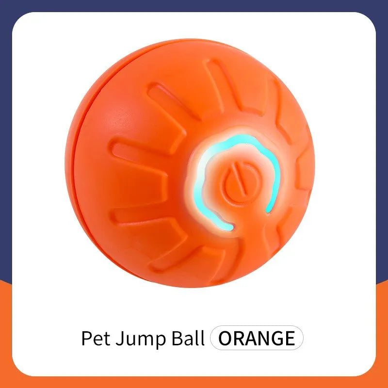 Smart Hund Spielball