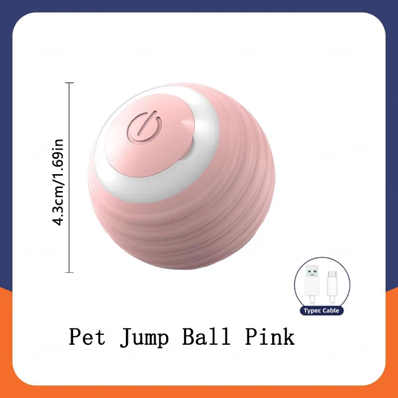 Smart Hund Spielball